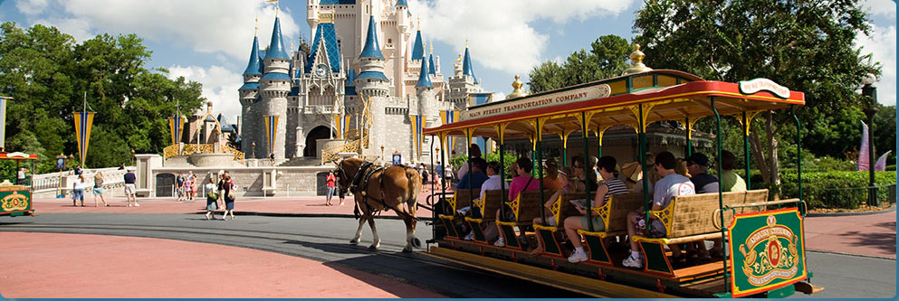 Disney Parks