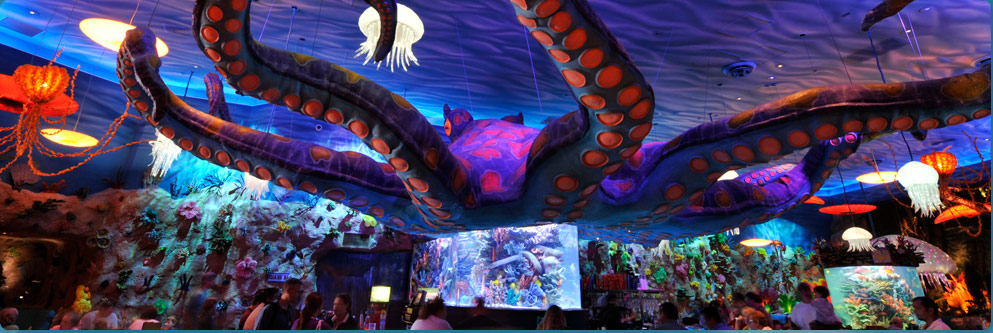 Disney Parks