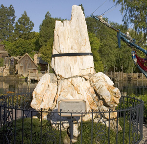 Petrified Tree at Disneyland Park
