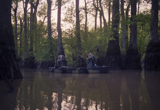 Working with The Nature Conservancy, Disney’s investment will support the development of an innovative reforestation project in the Lower Mississippi Valley to plant trees and restore up to 2,000 acres of former forest land.