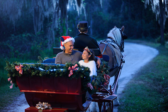 Florida Sleigh Ride