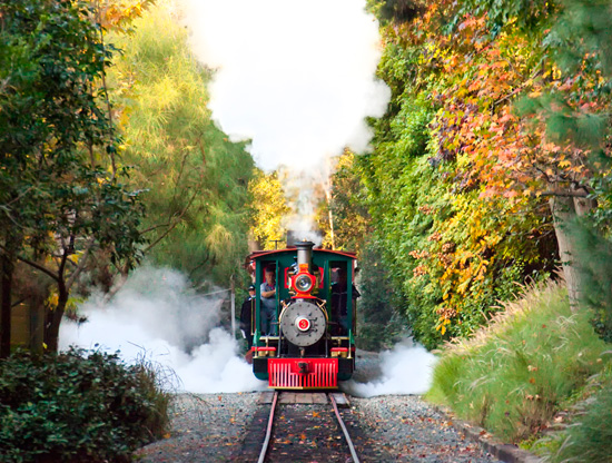Disneyland Steam Train