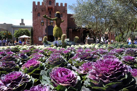 Epcot Flower and Garden Festival