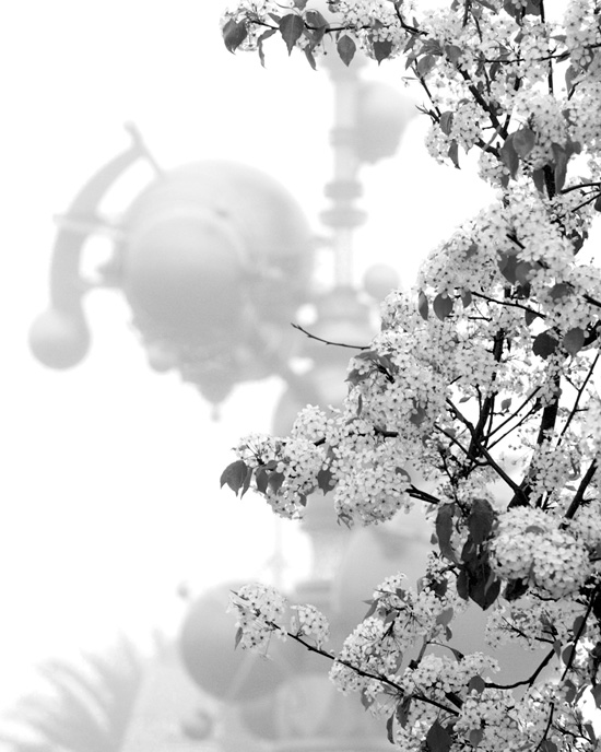 Springtime in Tomorrowland by Paul Hiffmeyer
