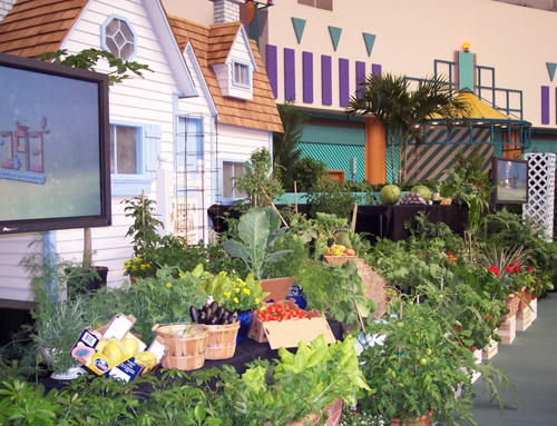 Garden Town Programs at the Epcot International Flower & Garden Festival