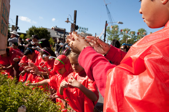Released Ladybugs at Disneyland Resort Released Ladybugs at Disneyland Resort