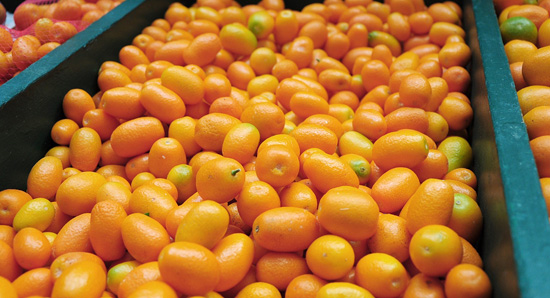 Florida Farmer’s Market Celebration at Garden Town