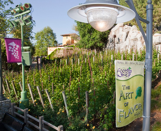 Disney's California Food & Wine Festival