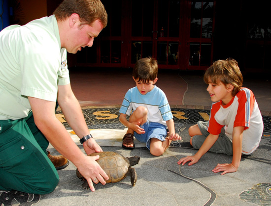 World Turtle Day World Turtle Day
