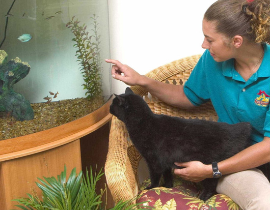 Best Friends Pet Resort Best Friends Pet Resort