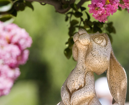 Rabbit smelling the blossoms by Paul Hiffmeyer