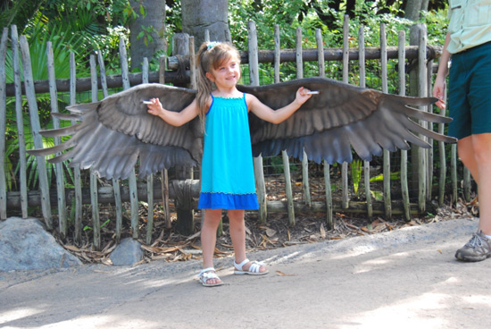 International Vulture Awareness Day at Disney's Animal Kingdom