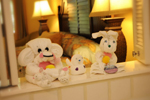 Animal Towels in the Villas