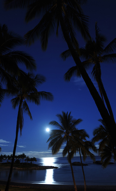 Moon Setting at Aulani, By: David Roark Moon Setting at Aulani, By: David Roark