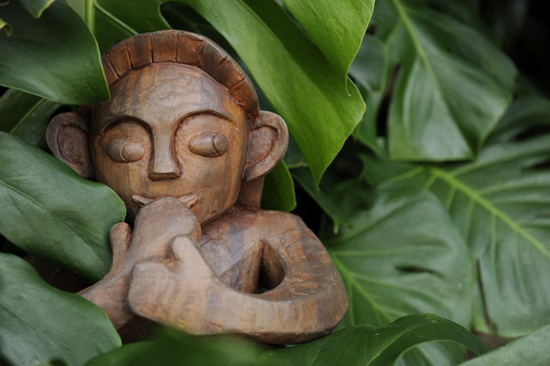 Mysterious Menehune Hiding Throughout Aulani Mysterious Menehune Hiding Throughout Aulani