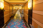 Elegantly Decorated Public Areas Aboard the Disney Dream