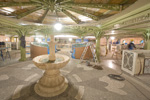 Enchanted Garden Aboard the Disney Dream