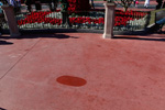 Water Art at Magic Kingdom Park