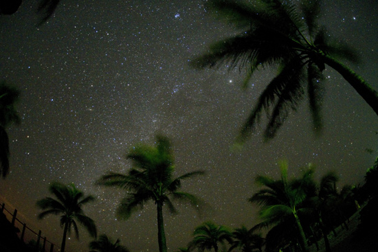 Star Show at Castaway Cay, By: David Roark