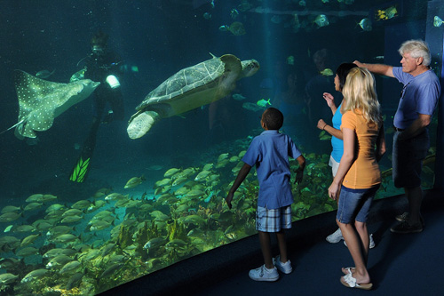 The Seas with Nemo & Friends Pavilion at Epcot