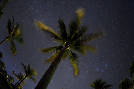 Star Show at Castaway Cay, By: David Roark
