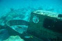 Several surprises await guests who explore the island’s snorkeling lagoon