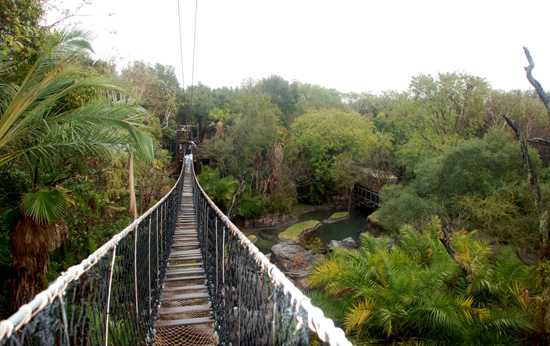 Footbridges on Wild Africa Trek at Disney's Animal Kingdom