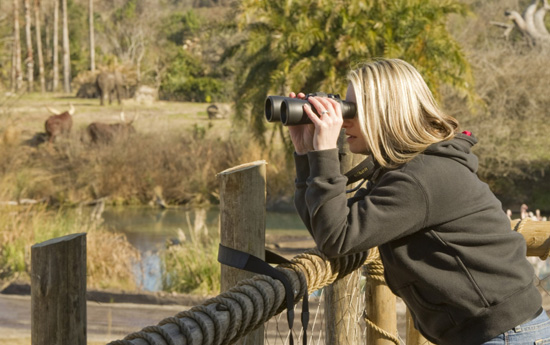 Private Savanna Overlook Camp at Wild Africa Trek