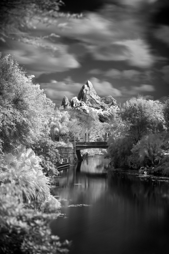 Expedition Everest at Disney's Animal Kingdom