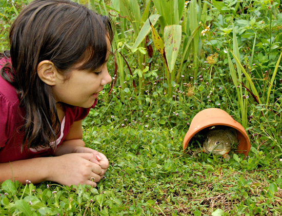 'Spring Forward' at Disney's Animal Kingdom 'Spring Forward' at Disney's Animal Kingdom