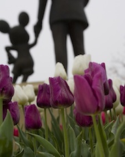 Springtime in Disneyland Park By: Paul Hiffmeyer