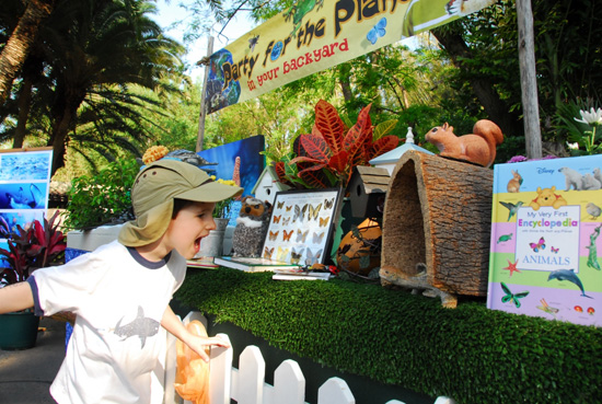 Party for the Planet at Disney's Animal Kingdom Party for the Planet at Disney's Animal Kingdom