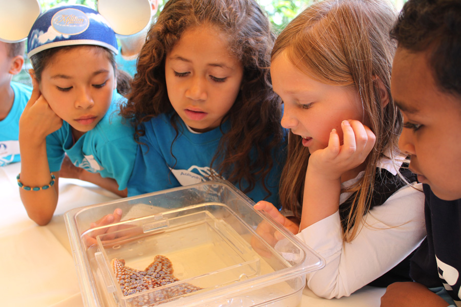 Boys & Girls Clubs Celebrate Earth Month
