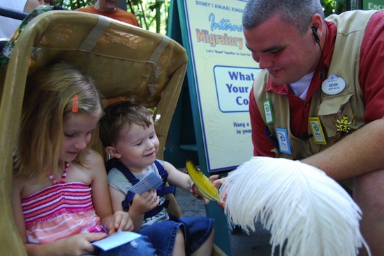 Celebrate International Migratory Bird Day at Disney's Animal Kingdom Celebrate International Migratory Bird Day at Disney's Animal Kingdom