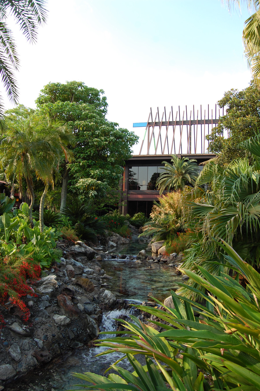 Kukui Nut Tree at Disney's Polynesian Resort