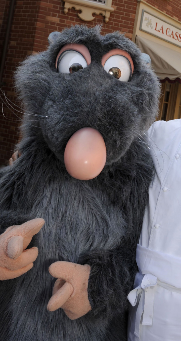Remy from Disney•Pixar's 'Ratatouille'