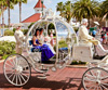A Surprise Vow Renewal at Walt Disney World