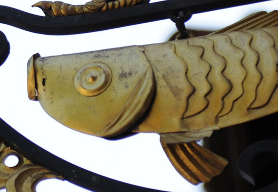 Have You Seen This Fish at Disney Parks? Have You Seen This Fish at Disney Parks?