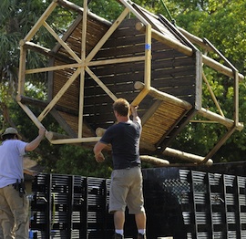 Disney’s Animal Kingdom Comes to Life in the Parker Family’s Yard