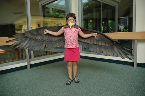 Vultures, Mowgli’s Pals in The Jungle Book, Are Friends of the Environment Too Vultures, Mowgli’s Pals in The Jungle Book, Are Friends of the Environment Too