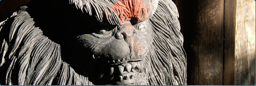 Expedition Everest at Disney's Animal Kingdom Park
