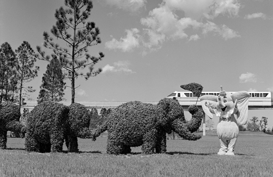 Caption This: A Pack of Disney Pachyderms