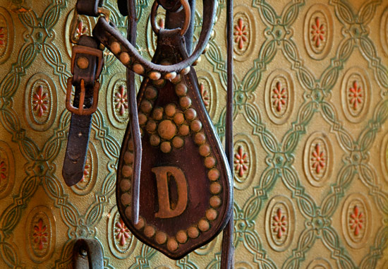 Do you know where in the Disneyland Resort you can find me and what I am?
