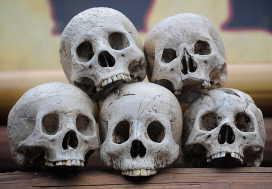 ARRRGGGGHHH, Where at Disney Parks Can Ye Be Findin’ These Skulls? ARRRGGGGHHH, Where at Disney Parks Can Ye Be Findin’ These Skulls?