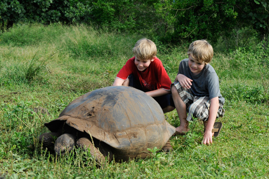 Meet the Galapagos Tortoise While Exploring the Galapagos Islands with Adventures by Disney Meet the Galapagos Tortoise While Exploring the Galapagos Islands with Adventures by Disney