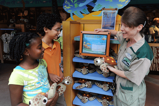 Wildlife Wednesdays: Sea Turtles Race from Disney’s Vero Beach Resort to Ocean Foraging Grounds