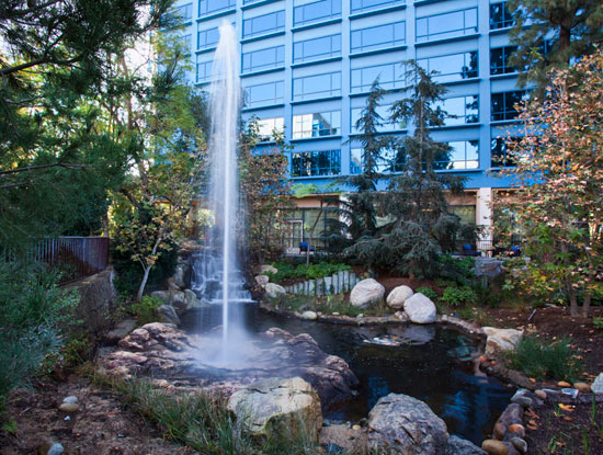 Geyser at the Disneyland Hotel