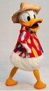 Donald in Spring Break Vacation Attire