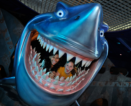 The World of our Oceans on Special Days at The Seas with Nemo & Friends at Epcot