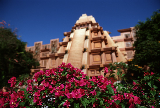 Take 5: Feliz Cinco de Mayo from Disney Parks